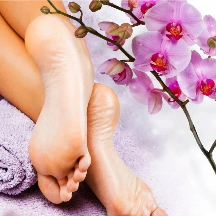 3fac4ac10ab8047052024212fa8e9465 3fac4ac10ab8047052024212fa8e9465